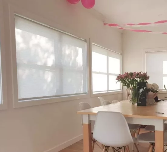 TRANSLUCENT ROLLER BLINDS