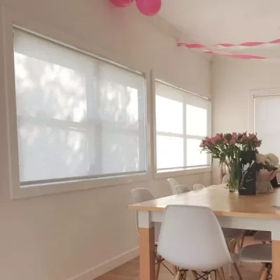 Translucent Roller Blinds