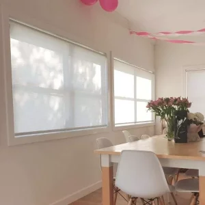 Translucent Roller Blinds