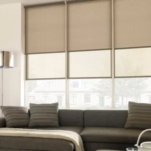 Translucent Roman Blinds